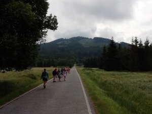 img_20190621_095535.jpg